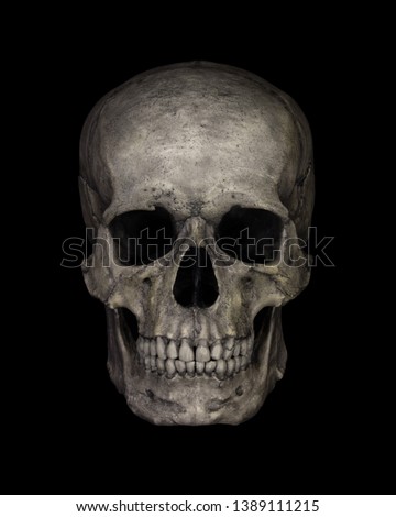 Human Skull Isolated on black Royalty-Free Stock Photo #1389111215