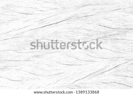 Light white row pattern wood dust and broken on surface for texture and copy space in design background
