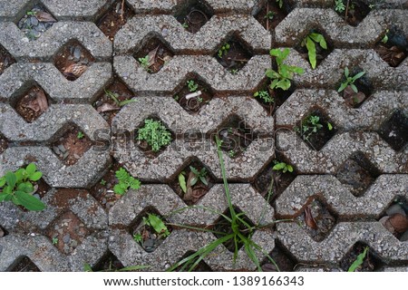 Lawn blocks with weeds and dirt in garden.