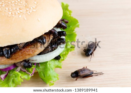 Crickets insect for eating as food items in bread burger made of fried insect meat with vegetable on wooden table it is good source of meal high protein edible for future food and entomophagy concept.