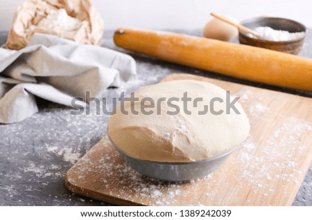 Baking process concept.Closeup of fresh dough in the bowl on the wooden cutting board,various ingredients for making dough on the grey kitchen table