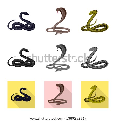 Vector design of mammal and danger icon. Collection of mammal and medicine stock vector illustration.
