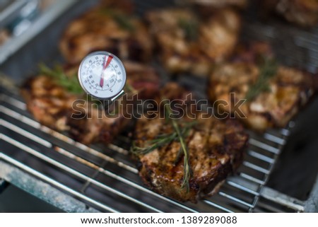 Measuring steak temperature on a grill  Royalty-Free Stock Photo #1389289088