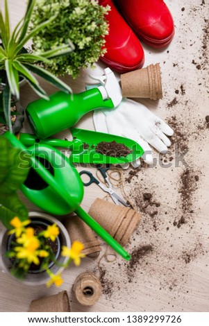 spring concept - top view of gardening tools and potted plants on wooden table background