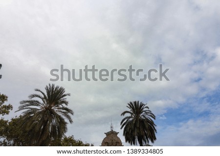Blue sky with white clouds and tops of green palm trees, texture background for design