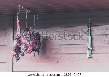 hang up fresh reindeer haunch on the terrace in Longyearbyen, Spitsbergen, Svalbard, moody look