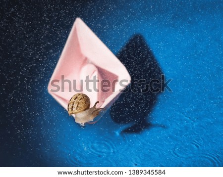 
little snail swims on a pink boat in blue water