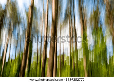 Abstract moving trees in a forest