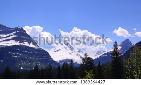 Jackson Glacier is nestled between its mountain neighbors under puffy white clouds and a brilliant blue sky.  Rocky layers of the mountain hold bands of snow.  Pines  rise from the foreground.