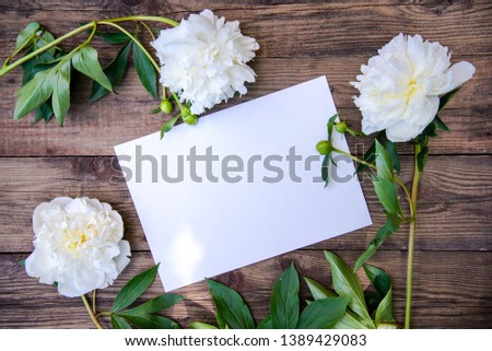 Beautiful frame of white peonies on a wooden rustic background, top view