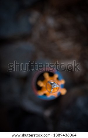 Halo diamond engagement ring in silver with beautiful matching band stacked on a men's copper wedding band, sitting on an orange cactus with a dark blurred background