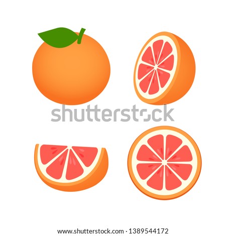 collection of Grapefruit, fruit pattern vector illustration sketch isolated on white background Royalty-Free Stock Photo #1389544172