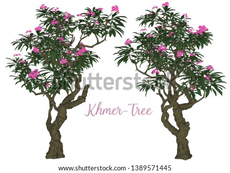 Frangipani vector tree with white background