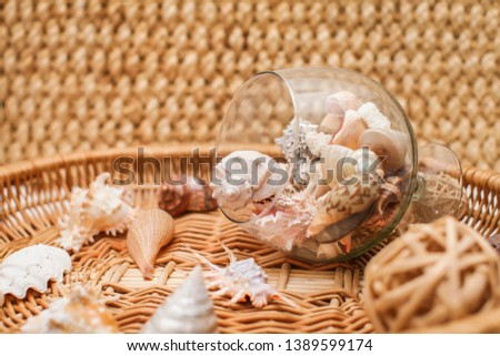different tropical Seashells inside the glass on wicker background in selective focus. sea decoration.