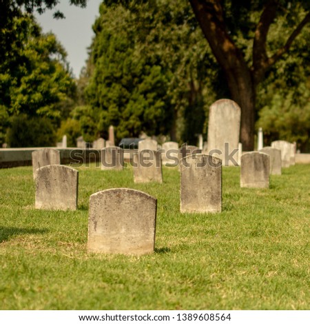 Graveyards in cemetery with places for names on the tombstone - Halloween composition with space for names and inscriptions Royalty-Free Stock Photo #1389608564