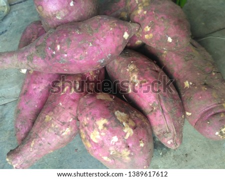 Purple skin sweet potatoes in the fields