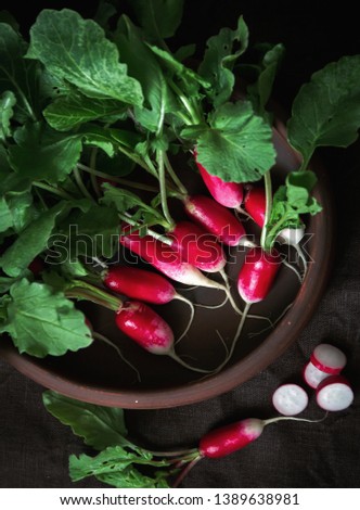 Top view fresh red radish on old wooden table. Growing organic vegetables. A bunch of raw fresh radishes on dark boards ready to eat. Raw foods. food photography. flat lay - Image