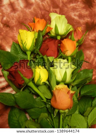 colorful bouquet of fresh roses