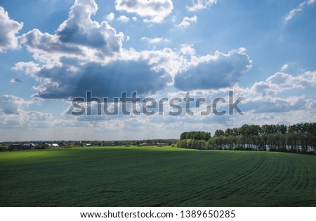 Green spring field with sunspots and highlights on the background of lush beautiful clouds and blue sky