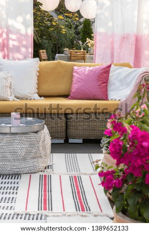 Close-up of pink flowers on a terrace with a wicker sofa and pillows in the background. Real photo