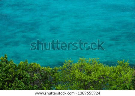 Turquoise water with green bushes in front of the sea Light waves make the surface clear water in various shades of blue. For the background