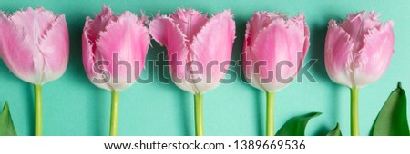 Bouquet of tulips flowers on color festive background. Spring flowers on floral card flat lay. Greeting card, holidays concept