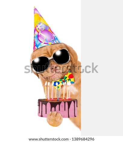 Smiling puppy with sunglasses in party hat and with tie bow holding birthday cake behind empty  white banner. isolated on white background