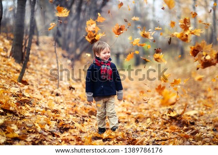 boy child 4 years old in coat and hat in autumn park, mood childhood and autumn