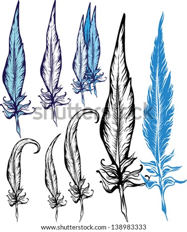 set of artistic bird feathers