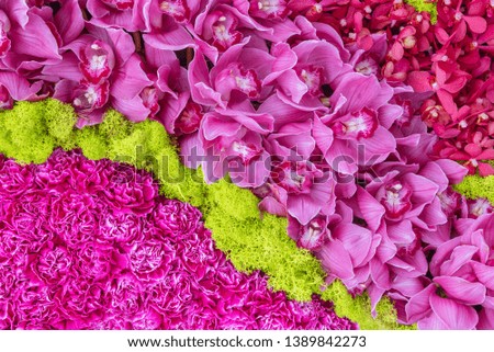 Abstract background of colorful flower