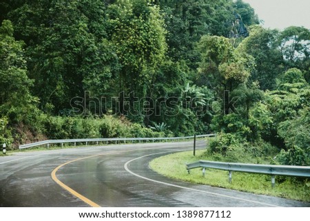 Foggy road in the forest ,Beautiful nature trail (Picture put grain)