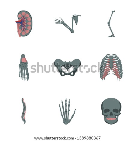 icons set in flat style human bones
