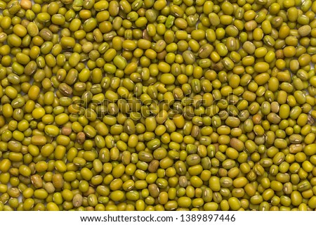 Mung beans texture. Close up mung beans background. Top view 