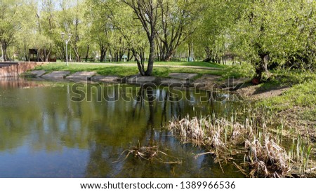 Beautiful view of the lake in the park and trees