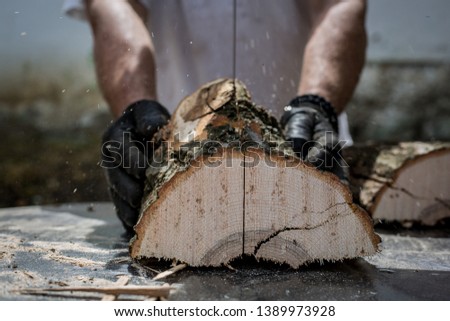 Man cutting and sawing a log in his back yard