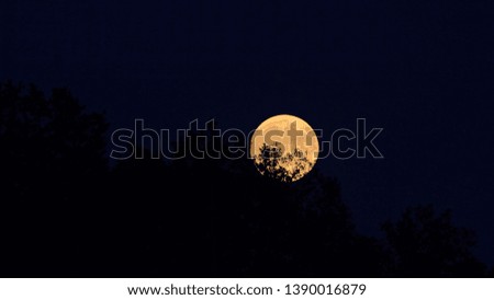 Shinny fool moon raising on dark sky, scary night 