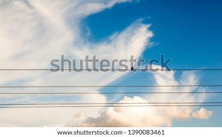 Nature backdrop, solar energy and spiritual concept - Little bird and cloudy sky as background