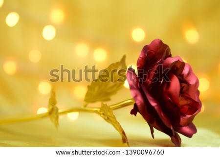 red rose closeup with gold bokeh in the background, copy space, selective focus
