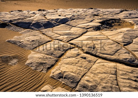 Texture of cracked fossil on the sand waves at the low spot of Sand Dunes Death Valley National Park California, USA