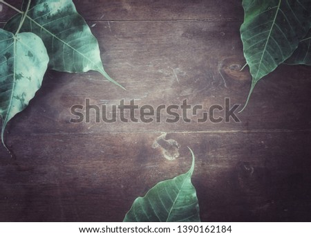 Spotted Sicklefish on wooden background