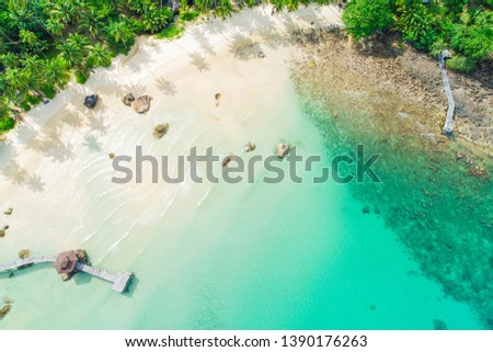Aerial view white sand beach with coconut palm tree turquoise water summer landscape