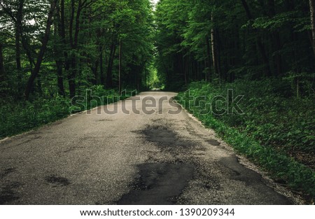 Photo of landscape - Road going through the green forest. Old and dirty road (way) with bad asphalt in the mountains - illuminated (natural light). Fresh greenery in nature after rain.