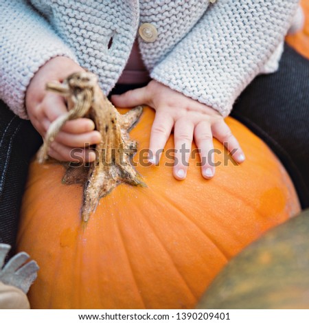 A very cute detailed picture of a baby's hands and fingers touching a pumpkin at halloween time