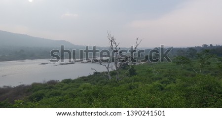 Bandipur National Park, Forest Karnataka, India