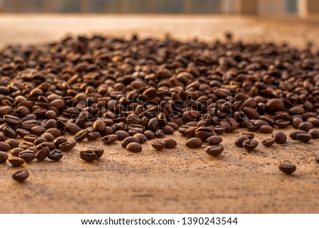 Brown roasted coffee beans on a wooden surface in the rays of a golden sunset sun. Close-up, soft focus on the individual grains, for the background.