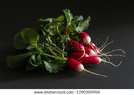 Fresh red radish on a dark table. Growing organic vegetables. A bunch of raw fresh radishes on a dark background ready to eat. Raw foods. food photography - Image