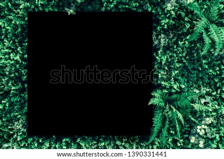 Chalkboard or blackboard with tropical green leaves frame