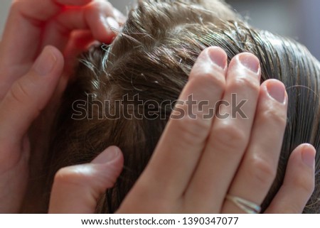 Mother checking daughter's hair against lice. Checking For Lice.