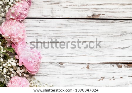 Pink Peonies and Baby's Breath flowers over a white rustic wood table background  with copy space for your text. Flat lay.