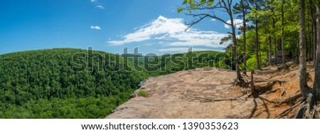 Panoramic view from Whitaker Point rock cliff hiking trail, Ozark mountains, nwa northwest arkansas Royalty-Free Stock Photo #1390353623